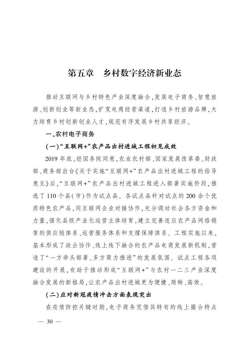 《中国数字乡村发展报告(2020年)》发布