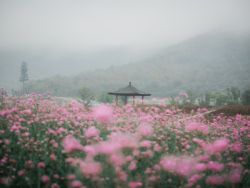 美股异动 | WSB概念股盘前普涨,SEC誓言保护散户投资者