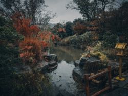 瑞银:塔吉特(TGT.US)公司结构改善,上调目标价至265美元