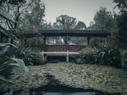 美股异动 | 黑莓(BB.US)盘初跌近4%,Q1营收同比下降15.5%