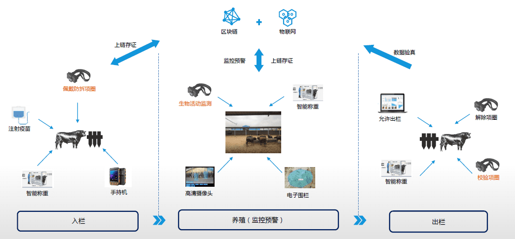 区块链如何使用,才能最大化地服务产业金融?