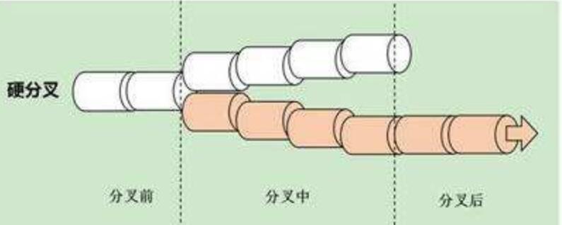 什么是分叉?