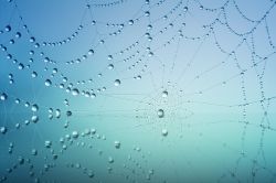 泛海集团(00129)附属斥资260万美元购买中国恒大证券