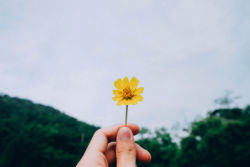 盈转亏 天大药业(00455)年度股东应占亏损约为2714.2万港元 末期息每股0.26港仙