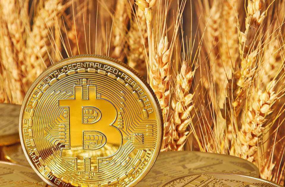 财富杂志：a href='https://www.btcfans.com/tag/1/' target='_black'比特币/a即将颠覆金融业