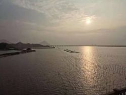 世茂海峡谋定战略驱动,前5月完成年度签约目标过半