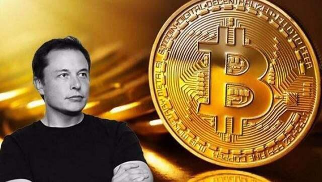 比特币和特斯拉,在反对声中走向成功