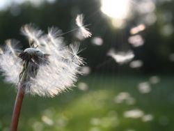 新股消息 | 朝云集团更新招股书:业务营运可能受季节性影响