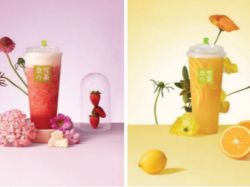 奈雪学不会星巴克(SBUX.US)的“第三空间”