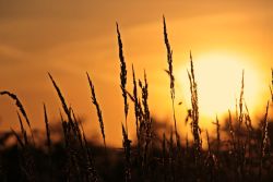 中骏商管(00606)公开发售获1.3倍认购 预期7月2日上市