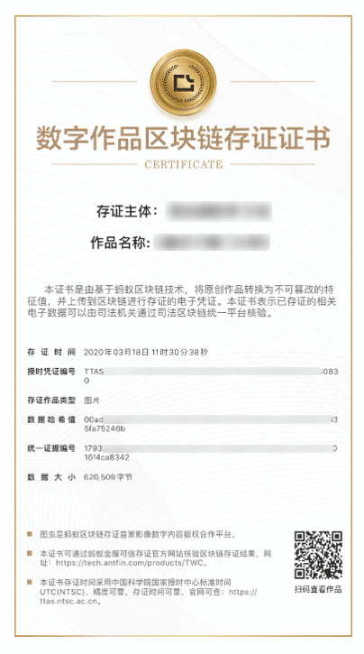 曾花2年维权的摄影师:我的作品有区块链身份证了