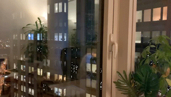 寄愁心与明月,在新冠风暴中心纽约的CertiK一切可好?