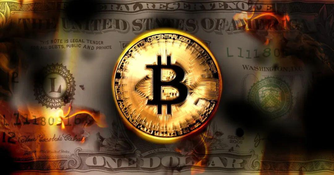 为什么说这次比特币减半的结果可能有所不同？
