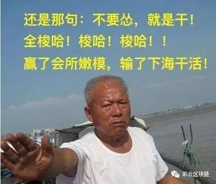 比特币社区常出现的梗有哪些?