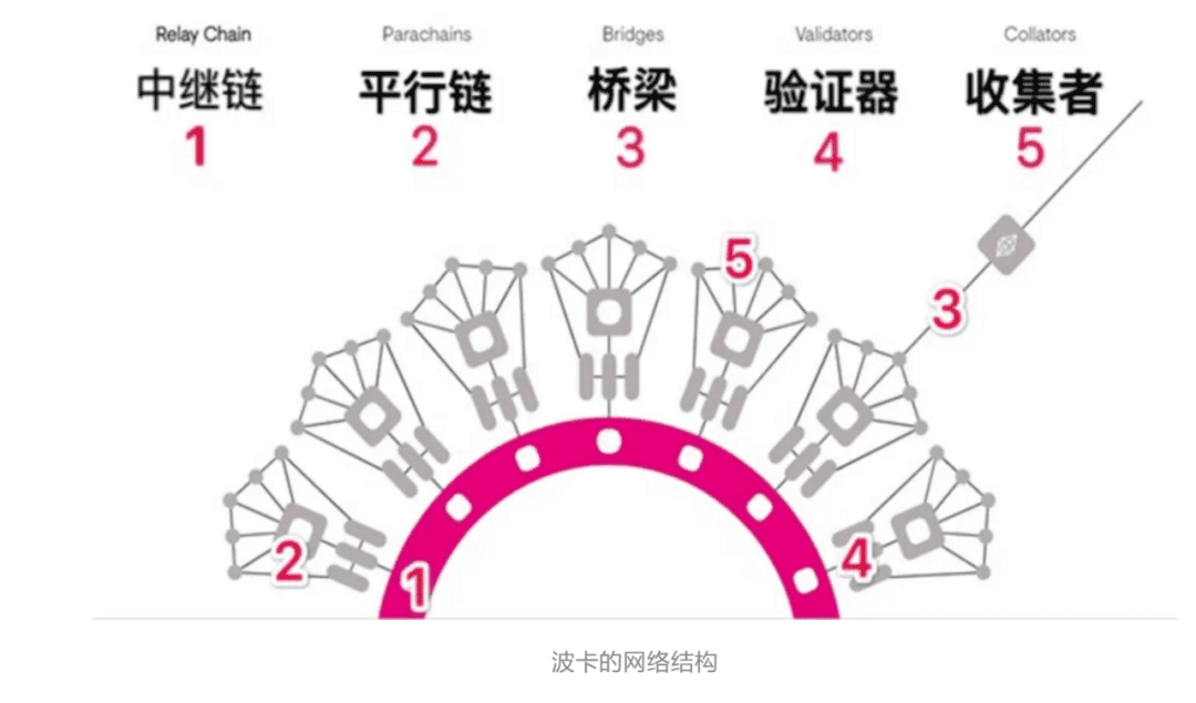 浅谈后浪波卡成功突围,是重复历史还是创造历史?