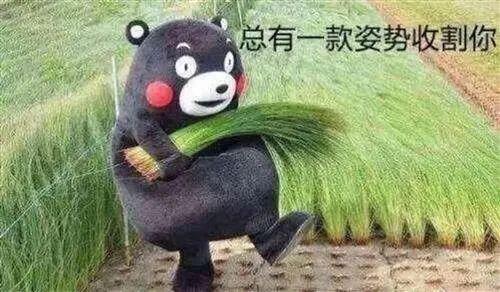 浅谈投资加密货币之前需要绕过哪些坑