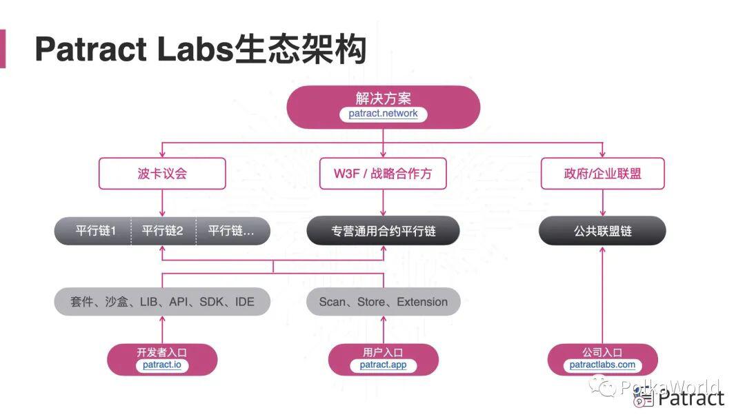 Patract Labs:未来,波卡平行链和智能合约应用将平分天下