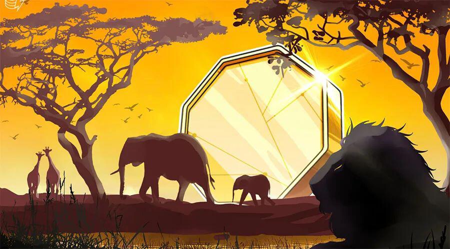 Chainalysis: 非洲交易员最不可能相信加密诈骗