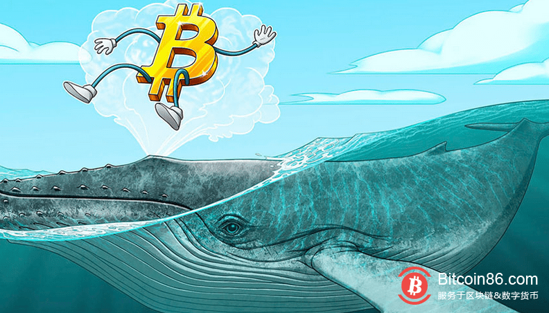 关键指标表明机构对比特币的需求正在迅速上涨