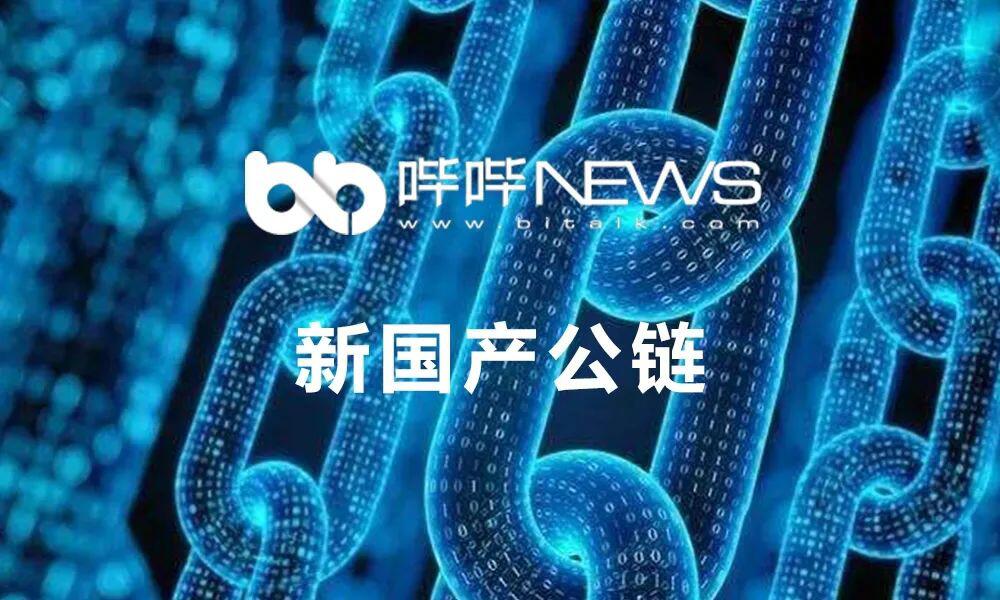 浅谈新国产公链的进展