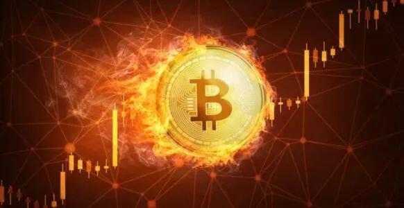 比特币是勇敢者的游戏打赏