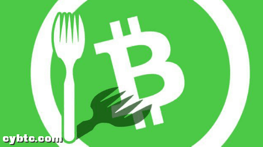 你信仰大区块,他喜欢小而简,你们各自都有美好的未来