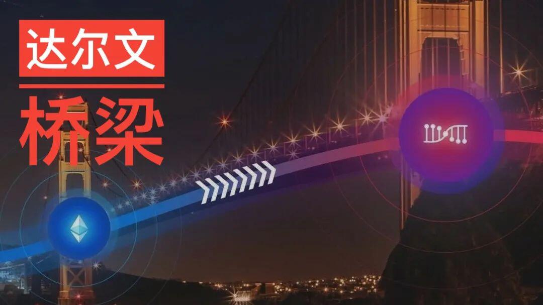 达尔文:波卡异构跨链的桥梁