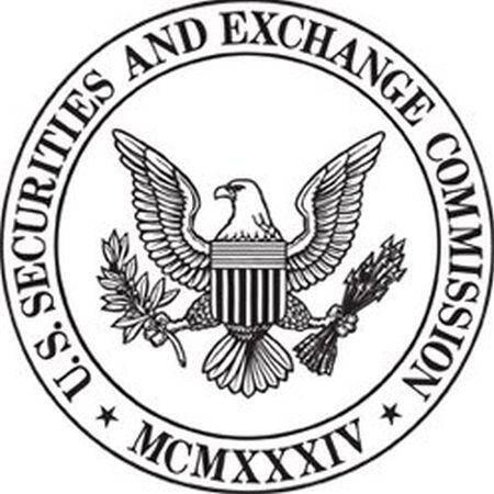 美SEC主席:支付效率低下推动比特币崛起