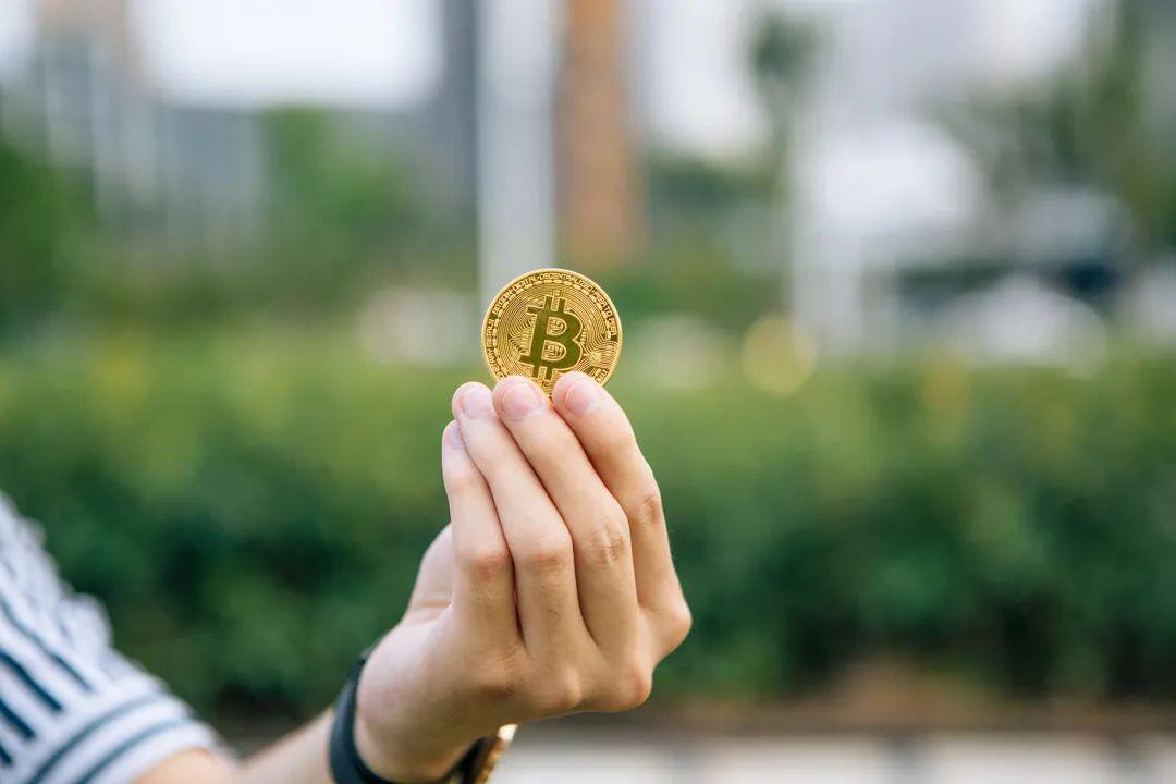 比特币暴涨背后的“巨鲸”