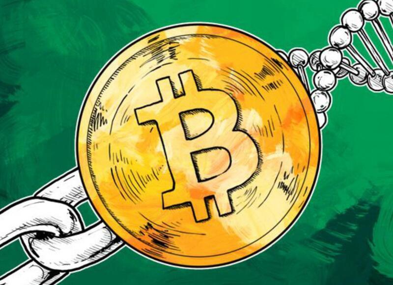 何为比特币巨鲸？细数那些比特币的忠实拥护者