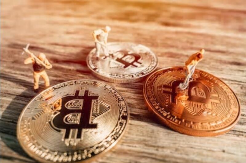 何为比特币巨鲸？细数那些比特币的忠实拥护者