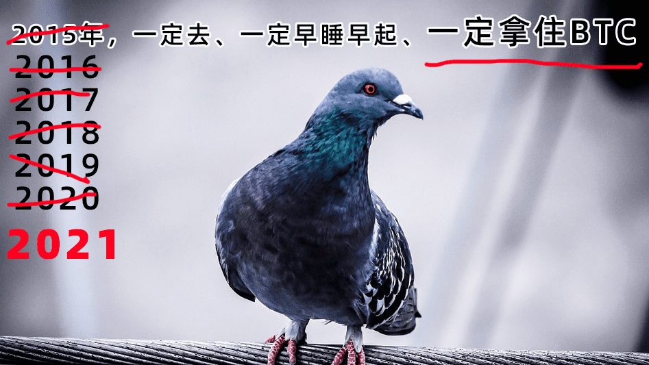 熊市不赚钱就算了,比特币牛市飙涨却还是不赚钱!问题出在哪?