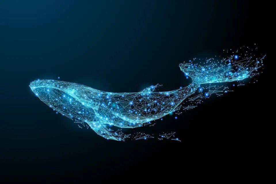 保护濒危物种,从「公民科学家」和「AI」的协作开始