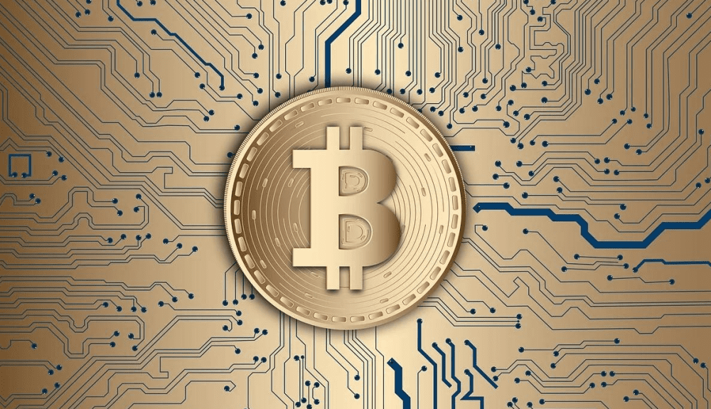 比特币价格涨跌不休!成为“专业韭菜收割机”,暴跌致11万人爆仓