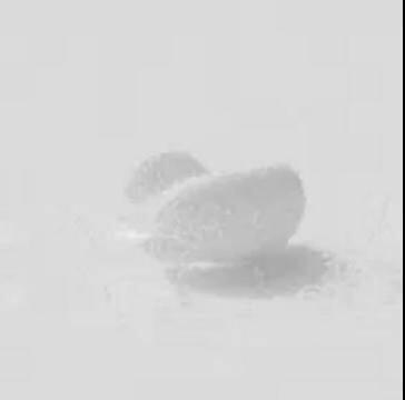 快带你的TA 一起云欣赏数字艺术品吧