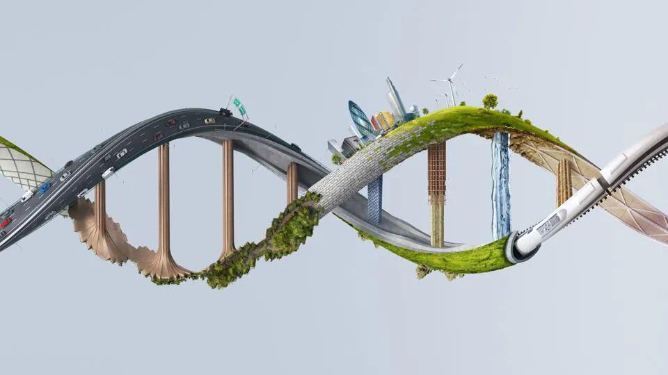 数据科学制胜之道:写给制药业高管的5条入门提示