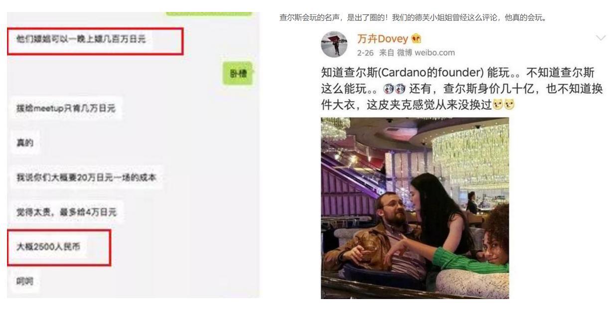疯涨的ADA:曾经过高控盘、重度营销与往日丑闻?