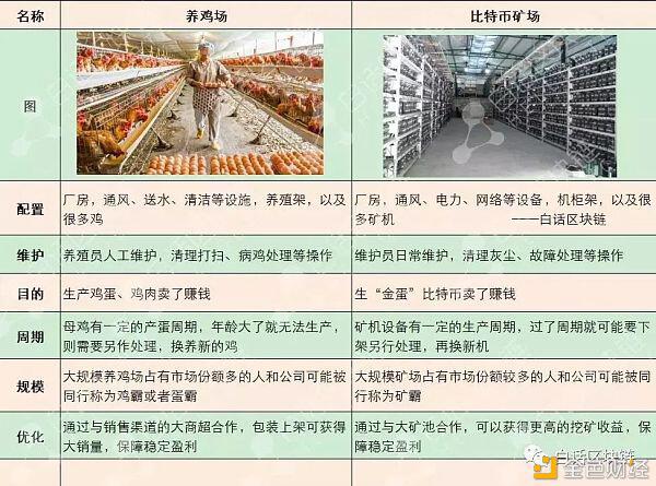 312过去一年了 比特币还是巴菲特口中的老鼠药么?