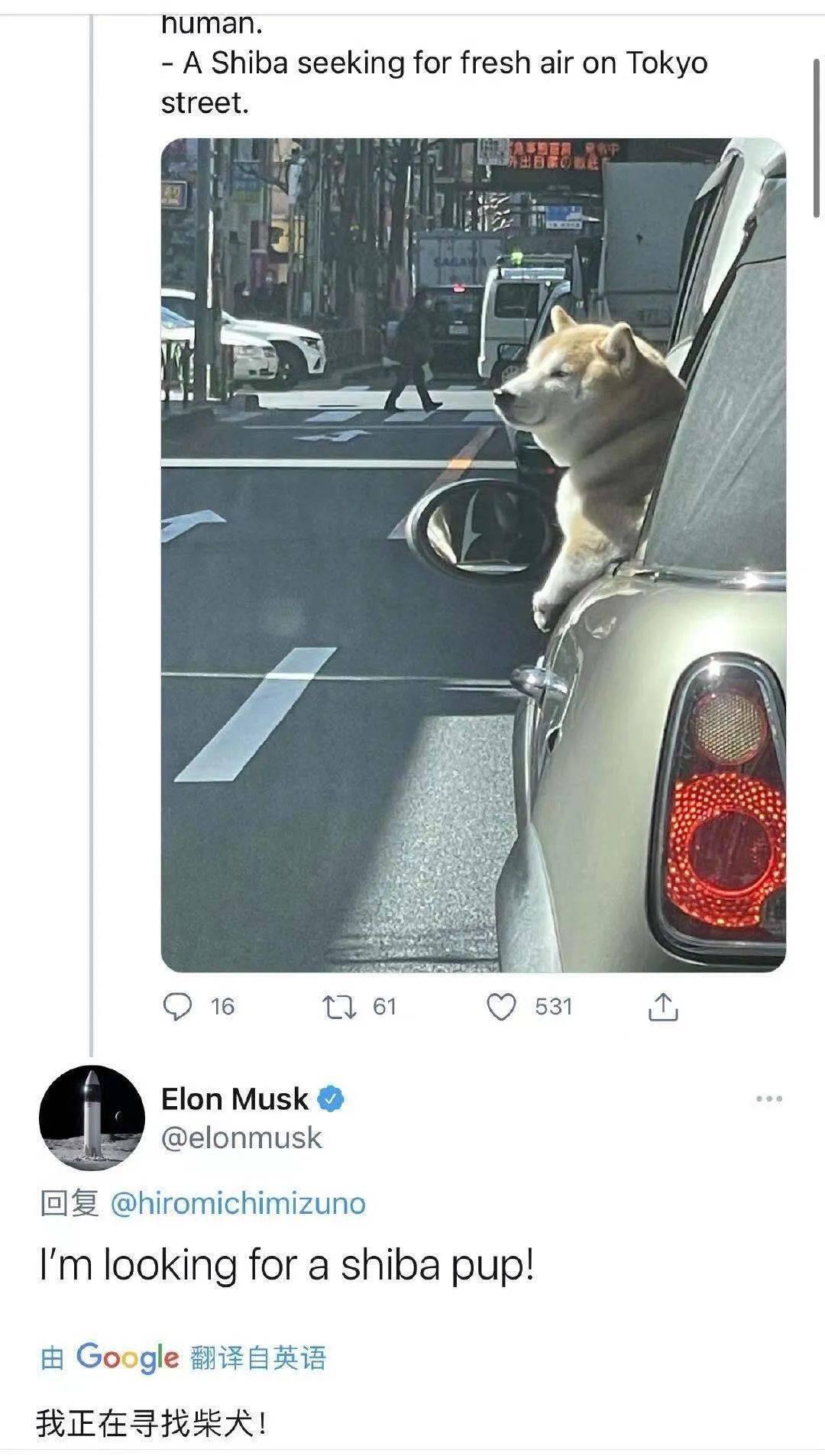 狗狗币之后,柴犬币又爆红了!一个月涨百倍,有人3000元赚了60万?