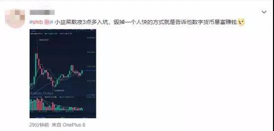 狗狗币之后,柴犬币又爆红了!一个月涨百倍,有人3000元赚了60万?
