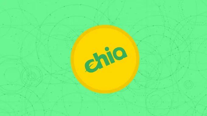 马斯克喊单Chia?现场是入场挖矿的时机吗?