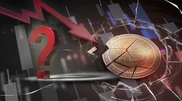 “币圈惨案”的余威之下,韭菜们该何去何从?