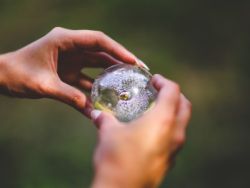 美股异动 | 晶科能源(JKS.US)跌超6%,年初至今累跌超15%
