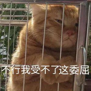 为什么矿工费贵得越来越离谱?