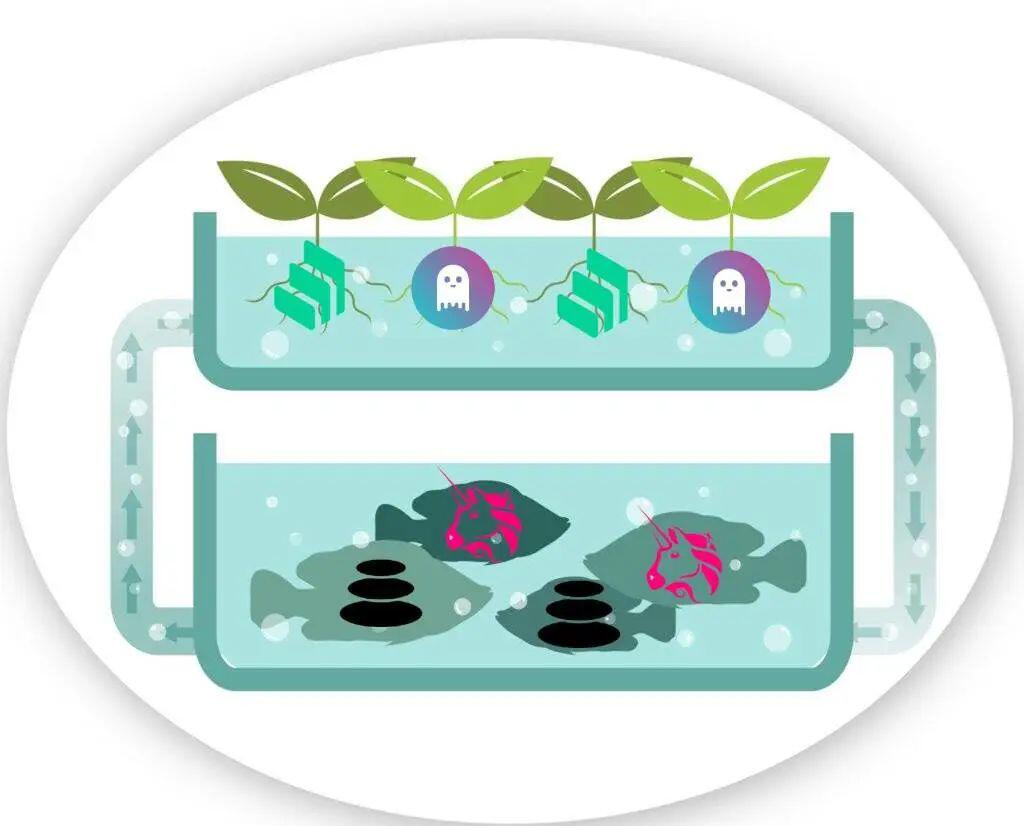 DeFi不可错过的趋势,Compound将如何与Balancer共生