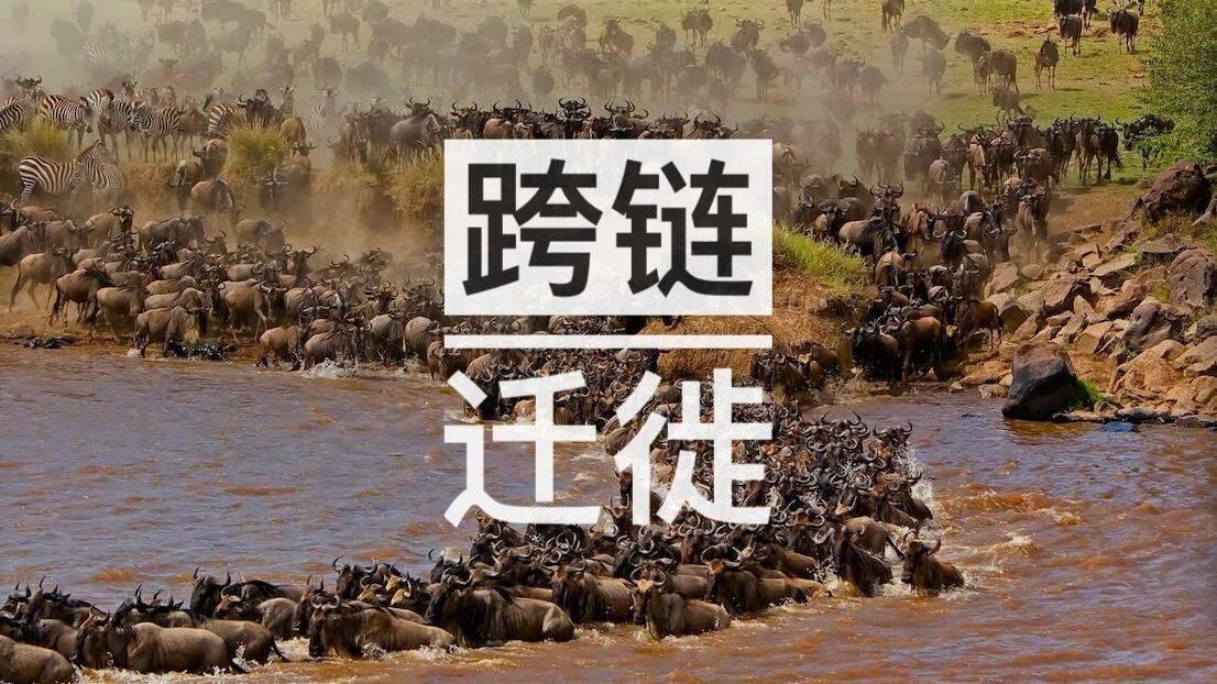 跨链迁徙：a href='https://www.btcfans.com/tag/1249/' target='_black'DeFi/a项目的抄袭对象们