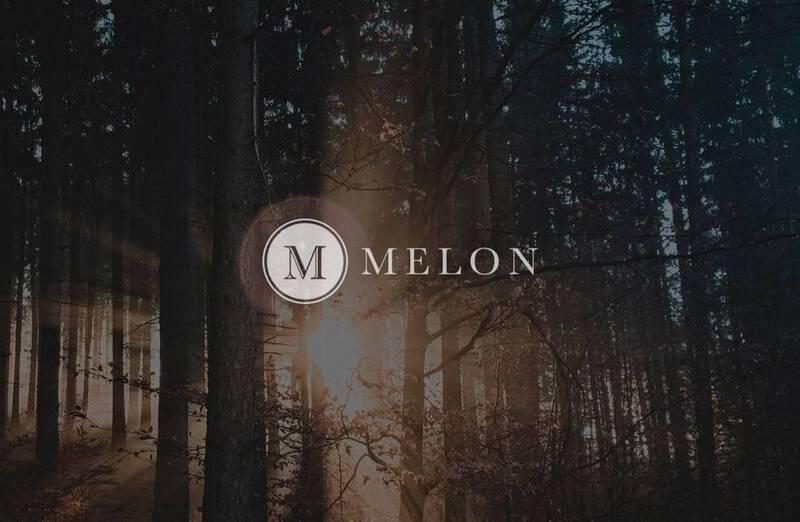 DeFi资产管理项目受热捧，Melon改进后潜力暴增