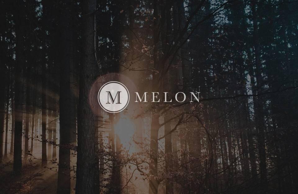 DeFi资产管理赛道受追捧,改进后的Melon潜力和掣肘在哪?