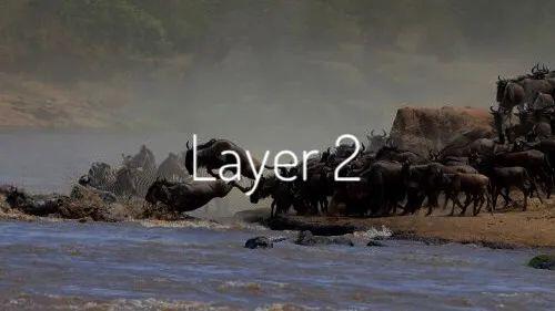 Layer 2方案——a href='https://www.btcfans.com/tag/1249/' target='_black'defi/a可能不会从以太坊上迁徙出去了