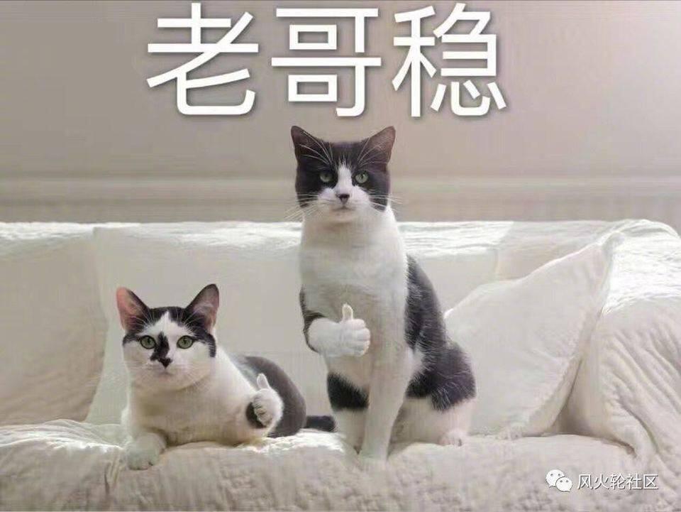 DeFi鲸鱼的自我修养:从百万到千万之路